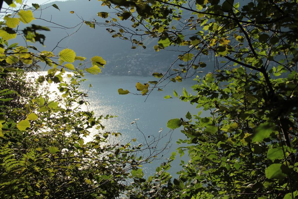 Casa Filomena Bed & Breakfast Faggeto Lario Eksteriør bilde