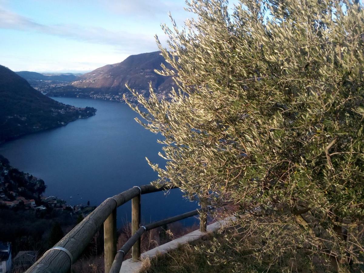 Casa Filomena Bed & Breakfast Faggeto Lario Eksteriør bilde